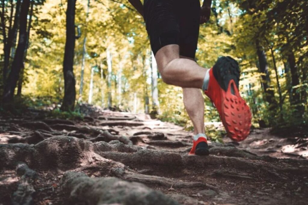 taille hoka vs asics (2)